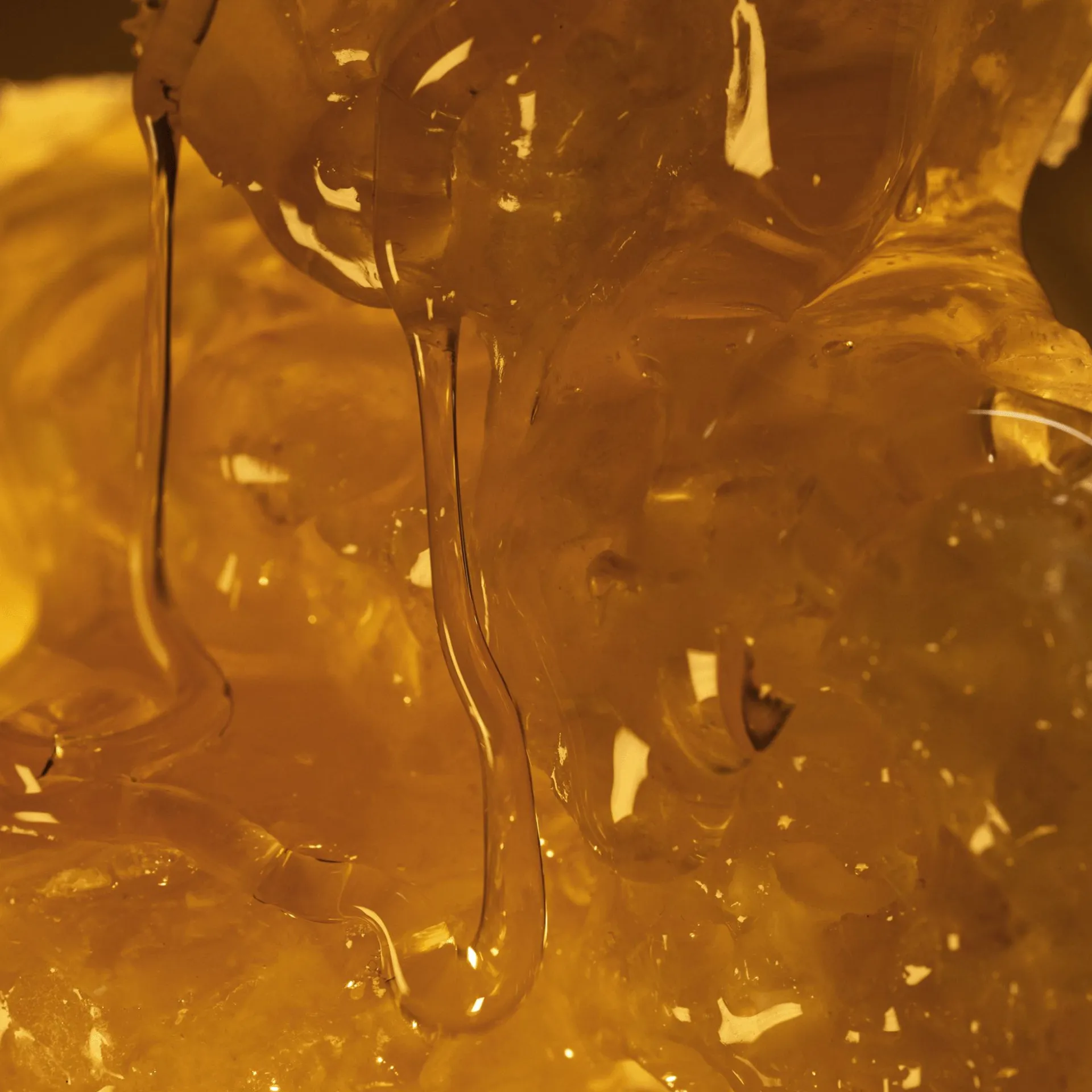 Creme de Mãos e Corpo Nutritivo Milk & Honey Gold