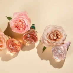 Eau de Parfum Volare Tender 50 ml.