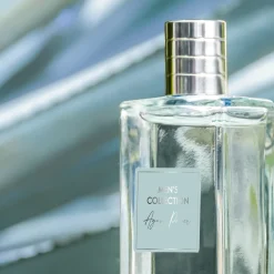 Eau de Toilette Agave Power Men's Collection 100 ml.