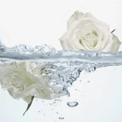 Lavagem Íntima Refrescante com Água de Rosas Feminelle 300 ml.