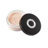 Pó Solto Make-up Pro THE ONE 5 g.