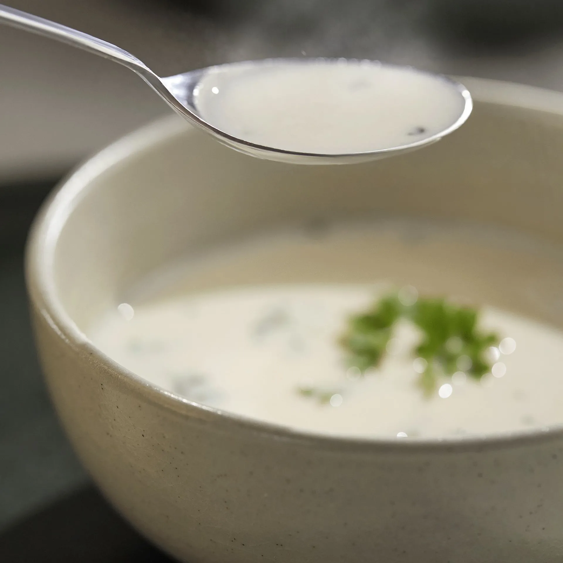 Sopa Substituta de Refeição para Controlo de Peso Wellosophy - Cogumelos 560 g.